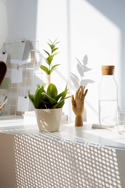 Essential Tips for Keeping Your Houseplants Healthy and Thriving